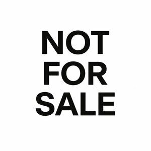 BlankNYC Cropped Hoodie Gray Stone Wash Comfort Cinch Hem 90s Tomboy Pullover M